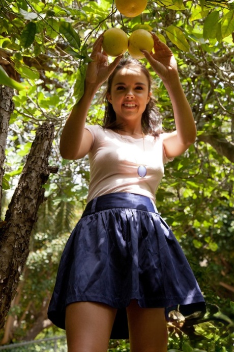 Dillion Harper actrice adulte collection