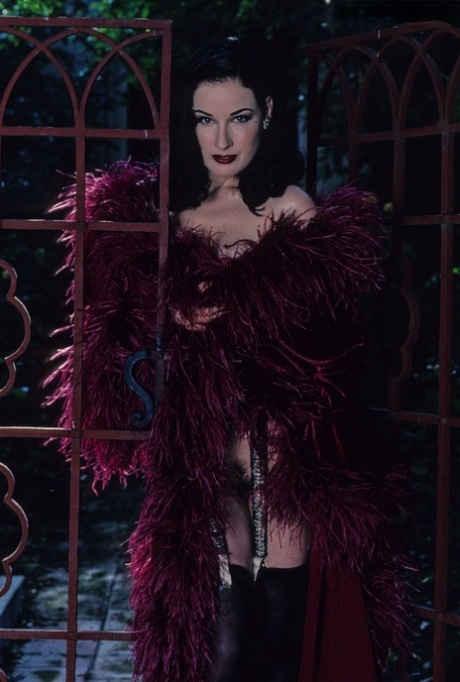 Dita von Teese actrice de grande qualité image